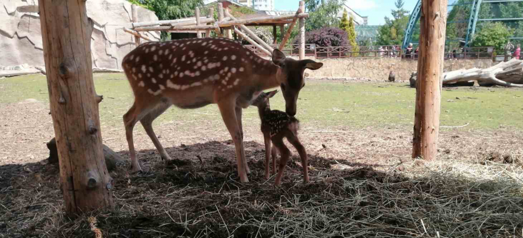 �������� .png